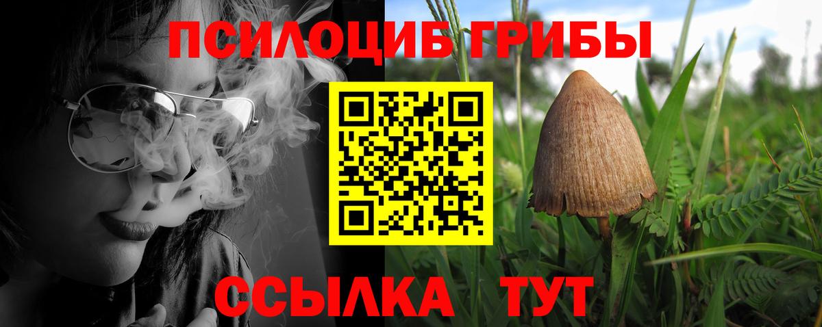 Псилоцибиновые грибы Cubensis  Вход с VPN  Острогожск 